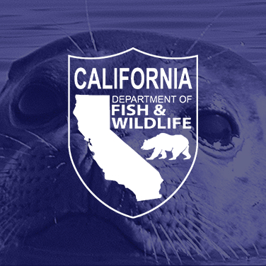 California Fish and Wildlife client logo